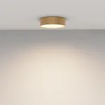 Потолочный светильник Maytoni Ceiling C032CL-24W3K-RD-MG