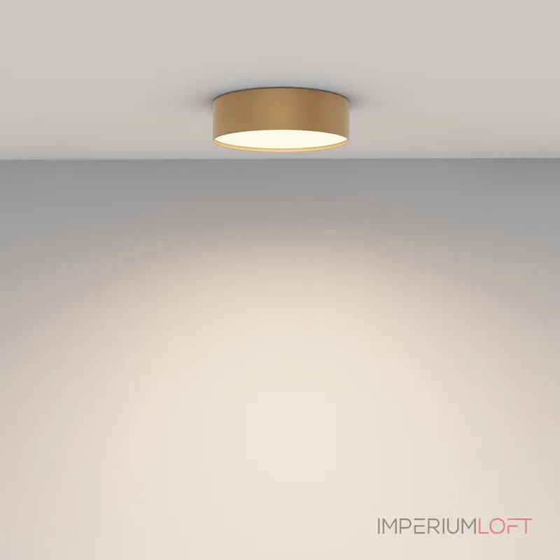 Потолочный светильник Maytoni Ceiling C032CL-24W3K-RD-MG