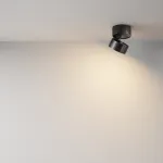 Потолочный светильник Maytoni Ceiling C024CL-12W3K-B-1 от ImperiumLoft