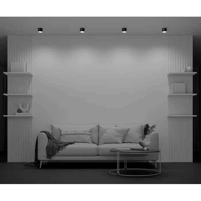 Потолочный светильник Maytoni Ceiling C096CL-GX53-B от ImperiumLoft
