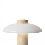 Настольный светильник Freya Sunspot FR5482TL-L7BG от ImperiumLoft