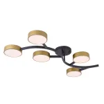 Потолочная люстра Freya Тибо / Tibo FR6048CL-L10GB