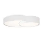 Потолочный светильник Freya Items FR6094CL-L72W