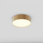 Потолочный светильник Maytoni Ceiling C032CL-24W3K-RD-MG