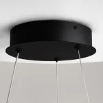 Подвесная люстра Maytoni Modern MOD241PL-L60BK