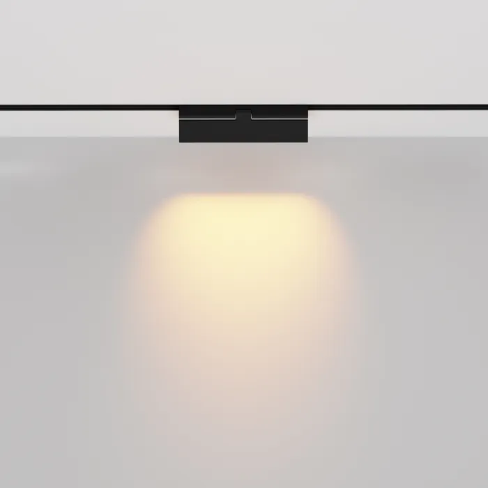 Трековый светильник Maytoni EXILITY TR033-2-12W2.7K-B от ImperiumLoft