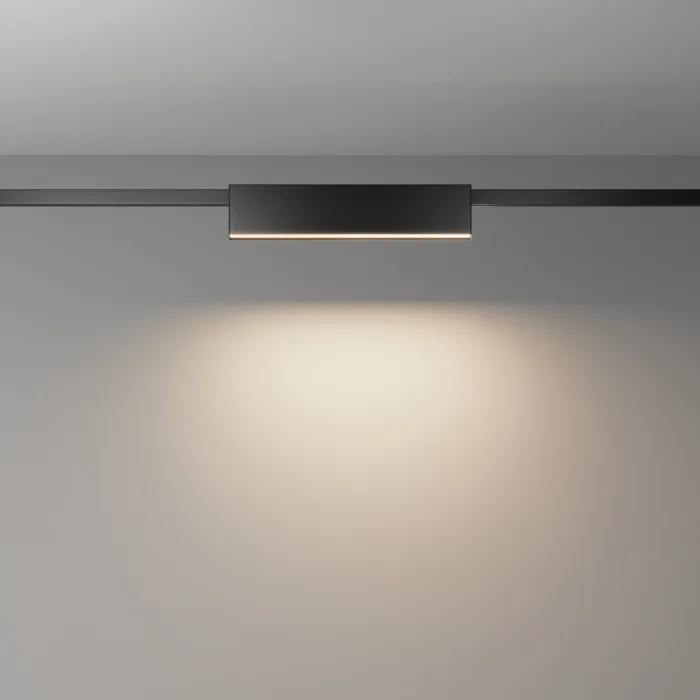 Трековый светильник Maytoni FLARITY TR151-1-12W3K-B от ImperiumLoft