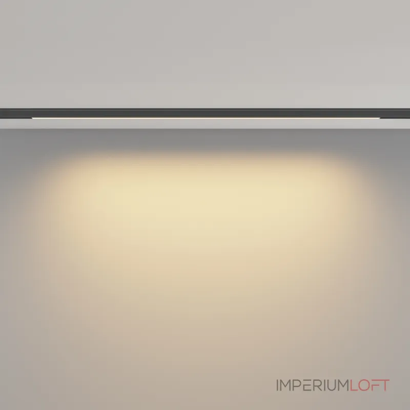 Трековый светильник Maytoni LEVITY TR190-1-10W2.7K-B