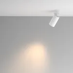 Потолочный светильник Maytoni Ceiling C108CL-01-GU10-W