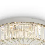 Потолочная люстра Freya Диадема / Diadema FR6225CL-L36CH