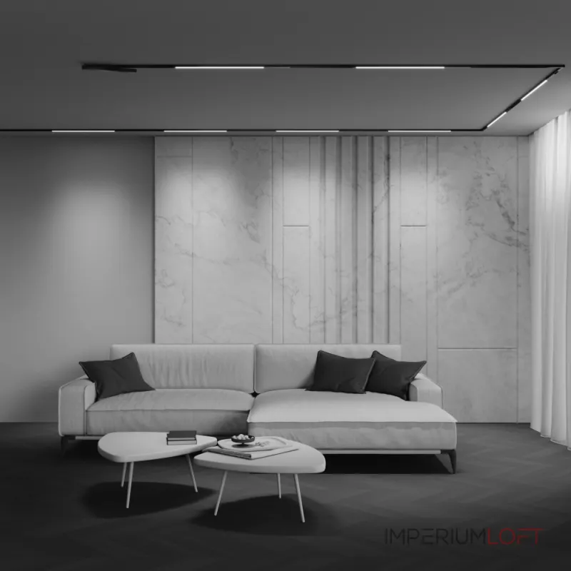 Трековый светильник Maytoni Basis TR240-4-12WTW-DSZ-B