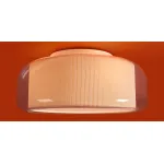 Потолочный светильник Freya Classic Riflesso FR2055CL-03CH