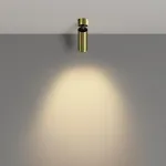 Потолочный светильник Maytoni Ceiling C055CL-L12W2.7K-W-BS