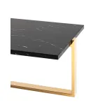 Тоби 109*66 черный мрамор сталь золото