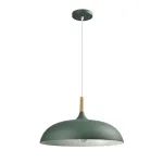 Светильник подвесной Moderli V11453-1P Hygo