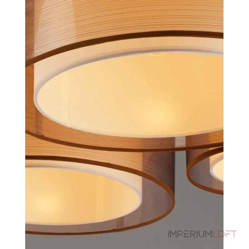 Светильник потолочный Moderli V10624-5C Room