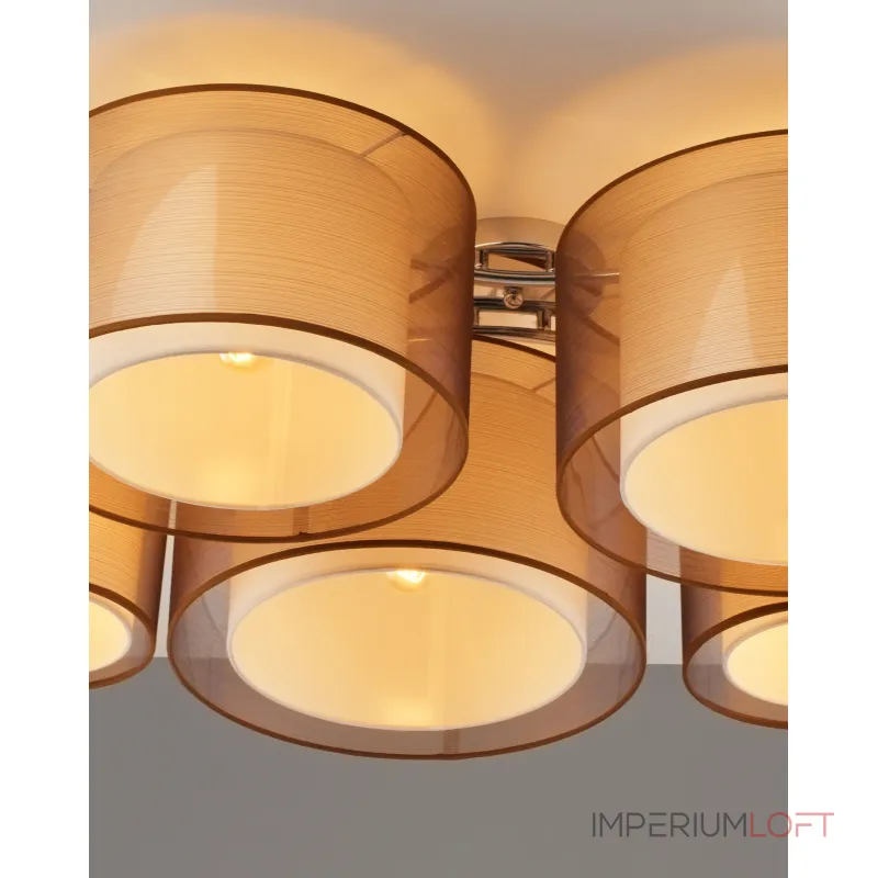 Светильник потолочный Moderli V10624-5C Room