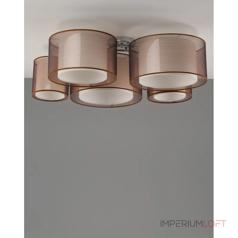 Светильник потолочный Moderli V10624-5C Room