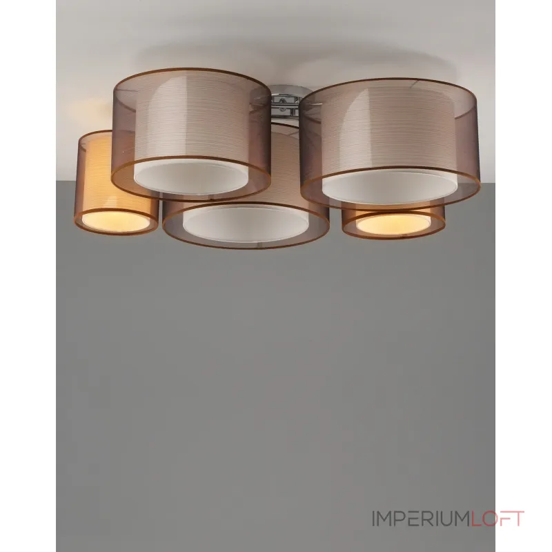 Светильник потолочный Moderli V10624-5C Room