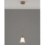 Подвесной светильник Moderli V10870-PL Leina