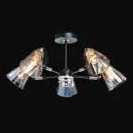 Потолочная люстра DeMarkt Гамбург 605016805 Потолочная люстра DeMarkt Гамбург 605016805