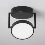 Потолочный светильник DeMarkt Гэлэкси 632017501 от ImperiumLoft