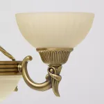 Подвесная люстра MW-Light Афродита 1 317010708 Цвет арматуры бронза Цвет плафонов кремовый от ImperiumLoft