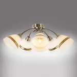 Потолочная люстра MyFar Emily MR1460-5C