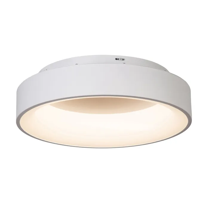 Потолочный светильник MyFar Shannon MR2194-1PL от ImperiumLoft