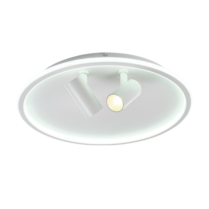 Потолочный светильник MyFar Focus MR9050-CL от ImperiumLoft