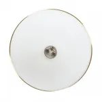 Потолочный светильник MyFar Biene MR1528-4C
