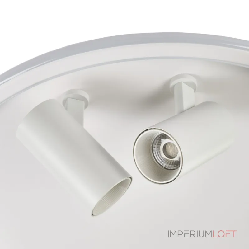 Потолочный светильник MyFar Focus MR9050-CL