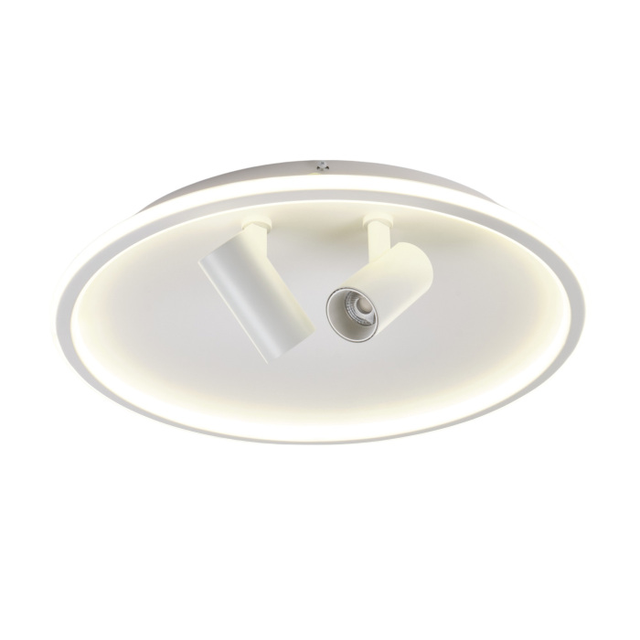 Потолочный светильник MyFar Focus MR9050-CL от ImperiumLoft