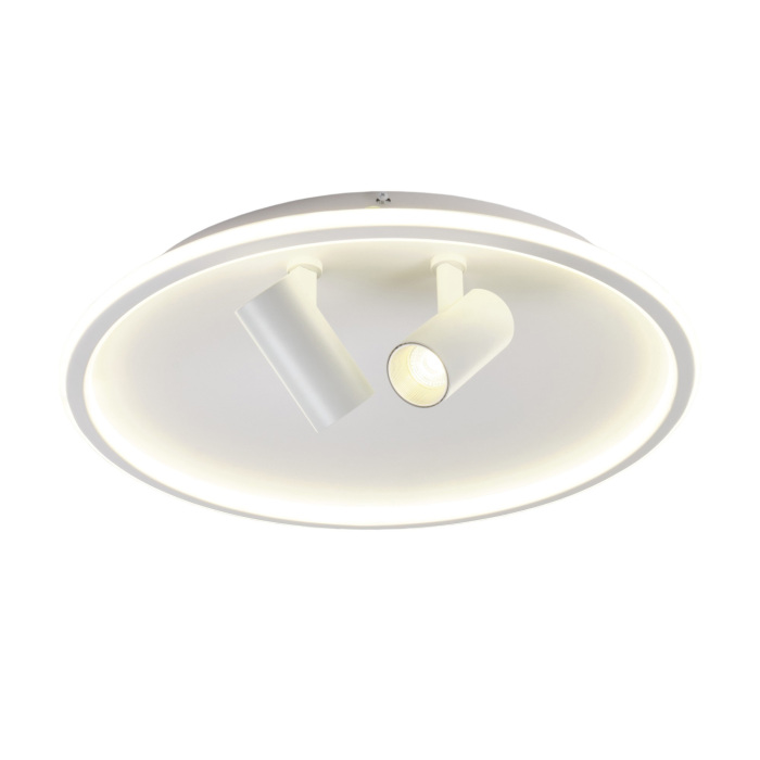 Потолочный светильник MyFar Focus MR9050-CL от ImperiumLoft