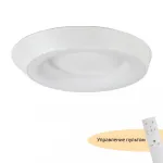 Потолочный светильник MyFar Phoebe MR9150-CL от ImperiumLoft