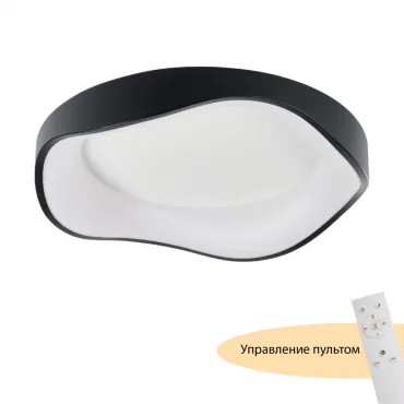 Потолочный светильник MyFar Diona MR9171-CL Потолочный светильник MyFar Diona MR9171-CL