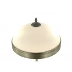 Интерьерная настольная лампа MyFar Biene MR2522-2T