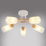 Потолочная люстра MyFar Linda MR1860-5C