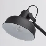 Настольная лампа декоративная MW-Light Акцент 680030401 от ImperiumLoft