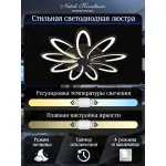 Потолочная люстра Natali Kovaltseva Holder HIGH-TECH LED LAMPS 82009 BLACK от ImperiumLoft