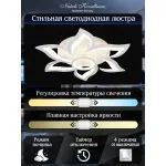 Потолочная люстра Natali Kovaltseva Olimp HIGH-TECH LED LAMPS 82020 Потолочная люстра Natali Kovaltseva Olimp HIGH-TECH LED LAMPS 82020