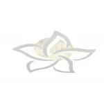 Потолочная люстра Natali Kovaltseva Olimp INNOVATION STYLE 83002 от ImperiumLoft