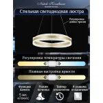 Подвесная люстра Natali Kovaltseva Ledlight INNOVATION STYLE 83143 от ImperiumLoft