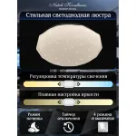 Потолочный светильник Natali Kovaltseva Orion LED LAMPS 81081