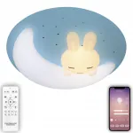 Потолочная люстра Natali Kovaltseva Kids LED LAMPS 81087 от ImperiumLoft