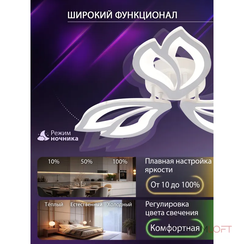 Потолочная люстра Natali Kovaltseva Fortuna LED LAMPS 81107/2C