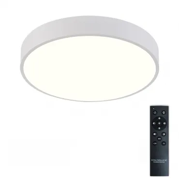 Потолочная люстра Natali Kovaltseva Ledlight LED LAMPS 81111/5C