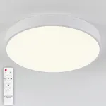 Потолочный светильник Natali Kovaltseva Ledlight LED LAMPS 81112/5C