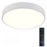 Потолочный светильник Natali Kovaltseva Ledlight LED LAMPS 81112/5C
