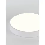 Потолочный светильник Natali Kovaltseva Ledlight LED LAMPS 81112/5C